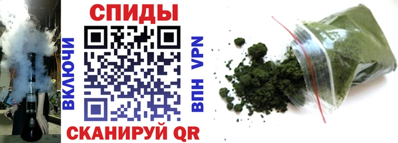 OMG как зайти мориарти формула БУТИРАТ вода Оса