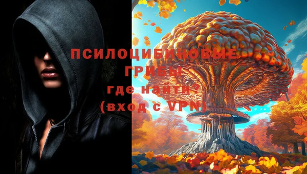 твердый Надым